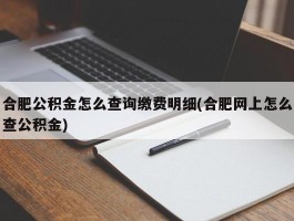 合肥公积金怎么查询缴费明细(合肥网上怎么查公积金)