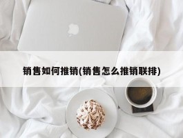 销售如何推销(销售怎么推销联排)