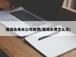 建湖自来水公司缴费(建湖水费怎么交)