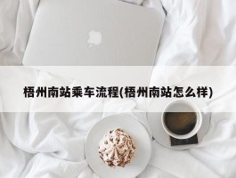 梧州南站乘车流程(梧州南站怎么样)