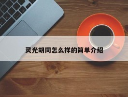 灵光胡同怎么样的简单介绍