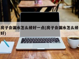 房子会漏水怎么修好一点(房子会漏水怎么修好)