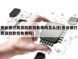 农业银行房贷放款但有用吗怎么还(农业银行房贷放款但有用吗)