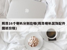 辉昂16个喇叭分别在哪(辉昂喇叭装饰配件图纸价格)