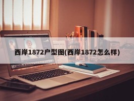 西岸1872户型图(西岸1872怎么样)