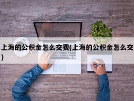 上海的公积金怎么交费(上海的公积金怎么交)