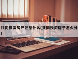 共同投资房产注意什么(共同投资房子怎么分)