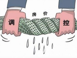 管不好房价房价控不住