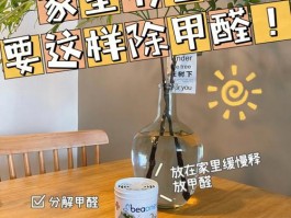 除甲醛什么牌子最好最安全-除甲醛的哪个品牌好