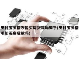 支付宝欠借呗能买房贷款吗知乎(支付宝欠借呗能买房贷款吗)