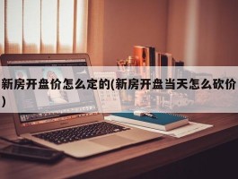 新房开盘价怎么定的(新房开盘当天怎么砍价)