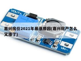 嘉兴房价2021年暴涨原因(嘉兴房产怎么又涨了)