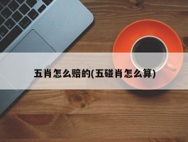 五肖怎么赔的(五碰肖怎么算)